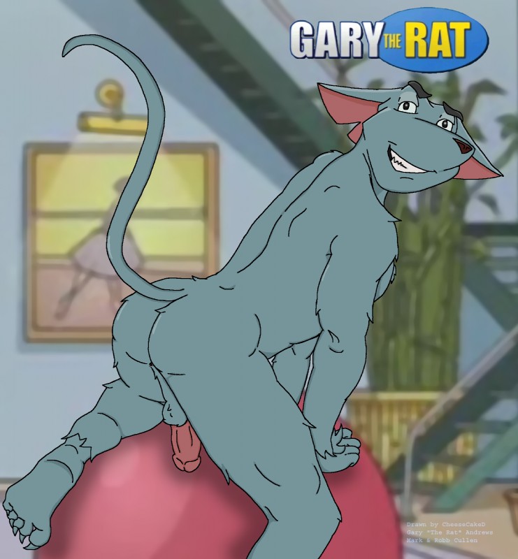 anthro backsack ball balls butt erection exercise_ball fuzzy genitals humanoid_genitalia humanoid_penis male nude on_ball penis solo cheesecaked gary_the_rat gary_andrews mammal murid murine rat rodent hi_res