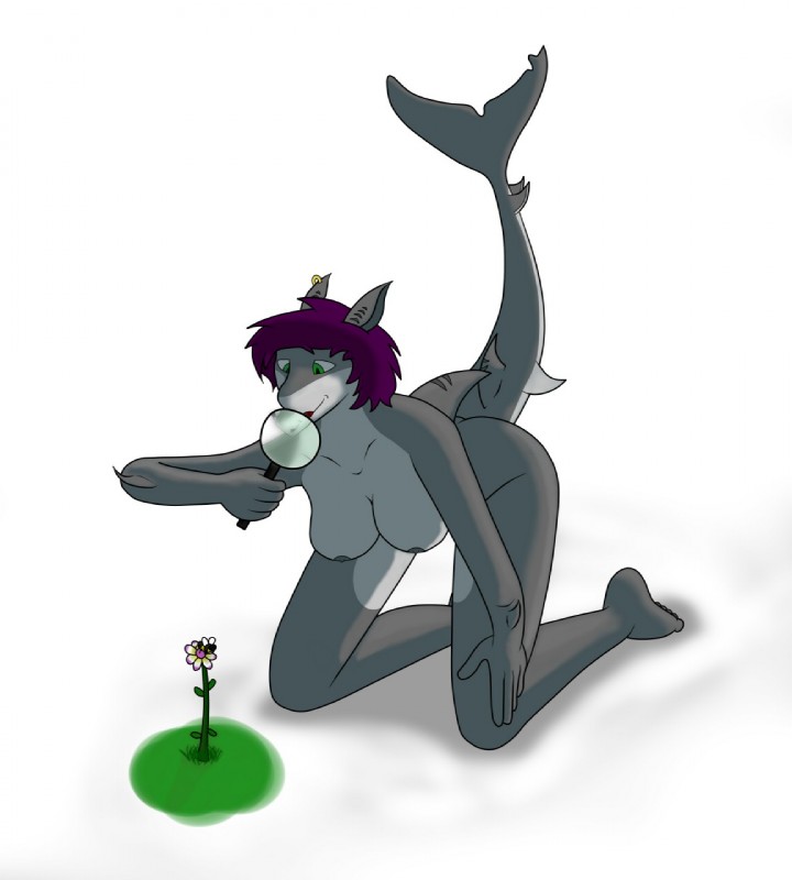 anthro breasts ear_piercing female flower green_eyes hair nipples non-mammal_breasts piercing plant purple_hair simple_background solo redmiles redmiles_the_shark fish marine shark 2016 hi_res