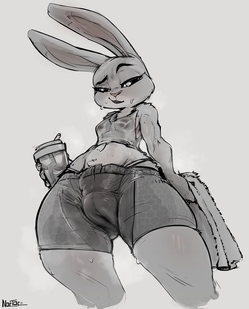 judy hopps (zootopia and etc) created by noctoc