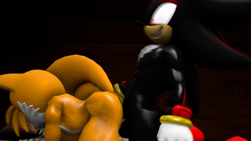 miles prower and shadow the hedgehog (sonic the hedgehog (series) and etc) created by absedgy