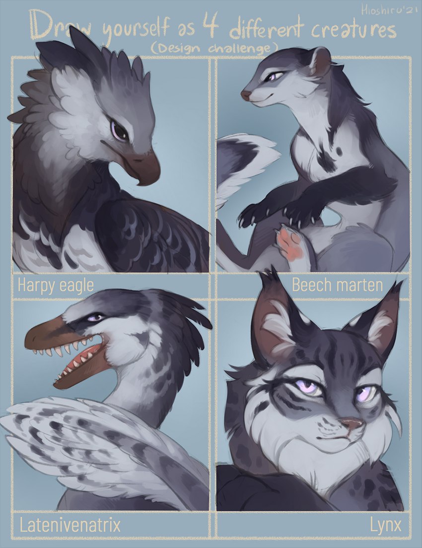 beak claws feral fur open_mouth paws purple_eyes solo teeth tongue hioshiru accipitrid accipitriform avian bird dinosaur eagle felid feline gulonine harpy_eagle latenivenatrix lynx mammal marten mustelid musteline prehistoric_species reptile scalie theropod troodontid 2021 hi_res multiple_images