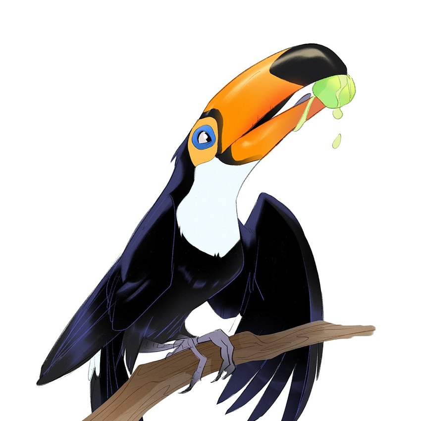 ambiguous_gender beak branch eating feet feral food fruit plant simple_background solo talons toes white_background krossan_(artist) avian bird toucan 1:1 hi_res