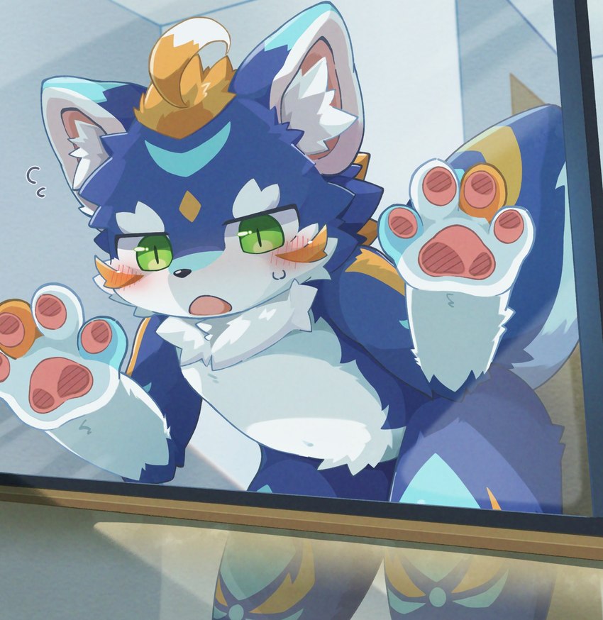 anthro bent_over blue_body blue_fur fur green_eyes inner_ear_fluff looking_through looking_through_window male open_mouth pawpads paws solo tail tongue tuft tufted_ears tufted_fur window young tsukio21 production_taiikukan lion_(fw_rion) canid mammal digital_media_(artwork) hi_res