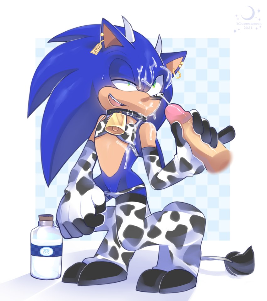 sonic the hedgehog (sonic the hedgehog (series) and etc) created by blueseamoon