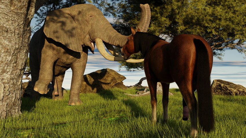 balls duo erection feral genitals interspecies male male/male outside penis presenting realistic_feral teasing trunk tusks nicobay_(artist) elephant elephantid equid equine horse mammal proboscidean 16:9 3d_(artwork) 4k absurd_res blender_(artwork) digital_media_(artwork) hi_res widescreen