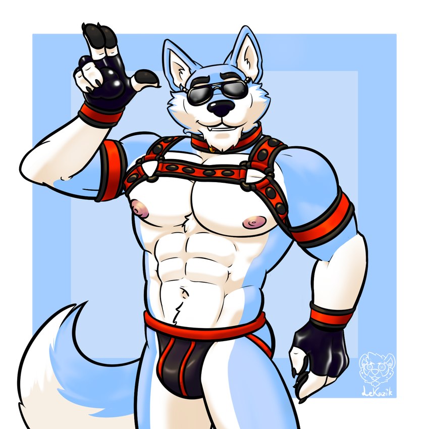 abs anthro armband biceps big_pecs black_nose blue_body blue_fur bulge clothing collar eyewear front_view fur gloves handwear harness jockstrap looking_at_viewer male muscular muscular_anthro muscular_male navel neoprene nipples pecs simple_background solo standing sunglasses teeth underwear white_body white_fur lekazik canid canine canis mammal 1:1 hi_res