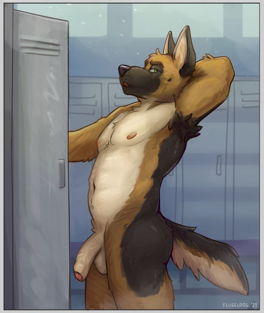 anthro armpit_hair balls body_hair flaccid foreskin fur genitals hand_behind_head humanoid_genitalia humanoid_penis inside locker locker_room looking_at_viewer male nipples nude penis pose solo steam flugeldog canid canine canis domestic_dog german_shepherd herding_dog mammal pastoral_dog digital_media_(artwork) hi_res pinup shaded