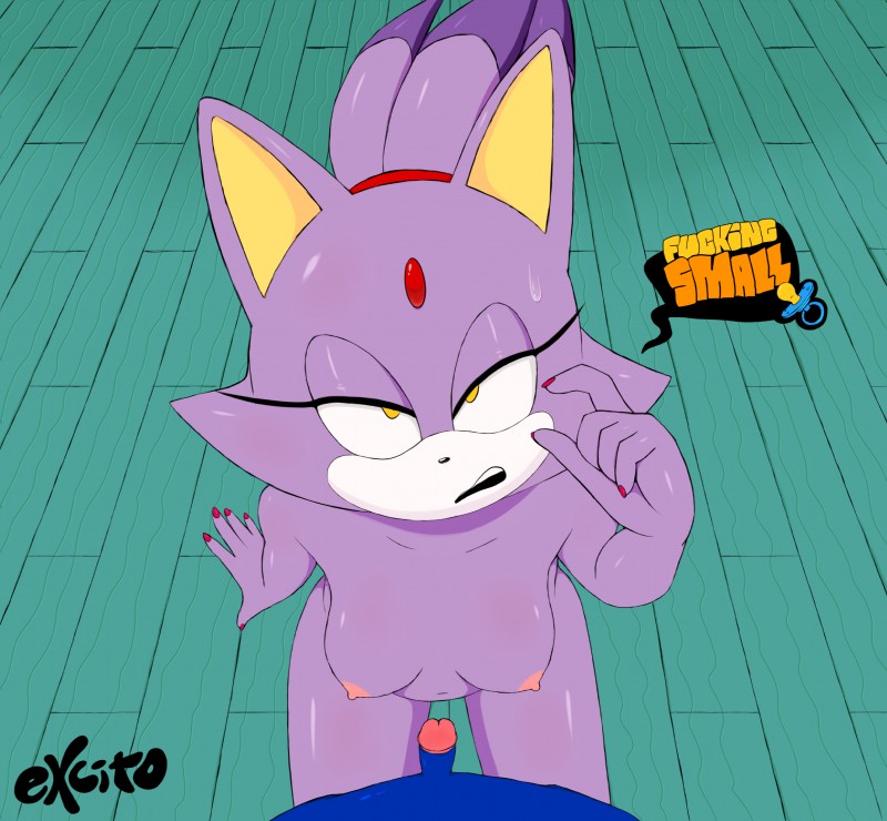 blaze the cat and sonic the hedgehog (sonic the hedgehog (series) and etc) created by excito