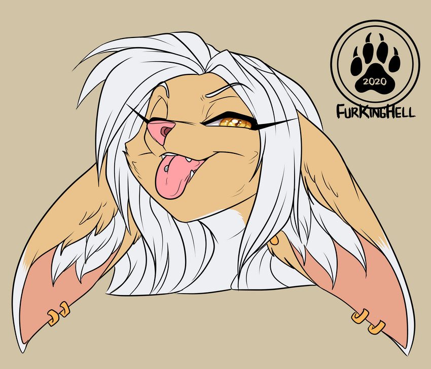 anthro ear_piercing ear_ring female piercing ring_piercing solo tongue tongue_out tongue_piercing yellow_eyes jesterghastly rose_dandy-ba canid canine fennec_fox fox hybrid mammal mink mustelid musteline true_fox true_musteline absurd_res hi_res