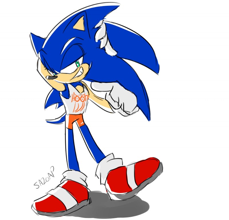 sonic the hedgehog (sonic the hedgehog (series) and etc) created by sa2oap