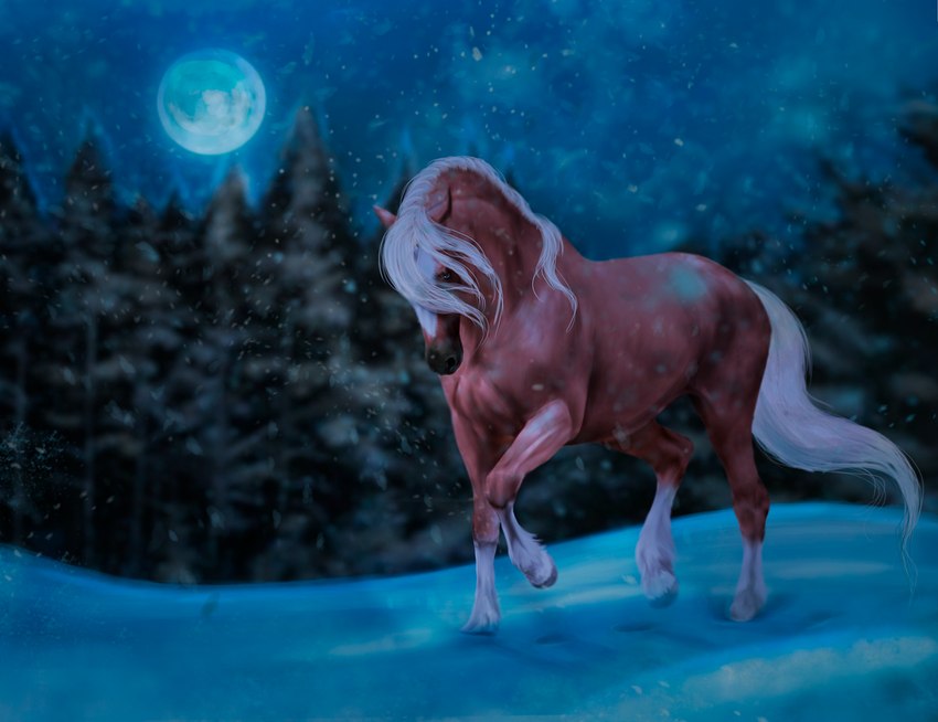 ambiguous_gender blue_eyes feral full_moon looking_ahead moon night plant snow solo tree wind amber18db maxym_(bloopertrooper) dolehest equid equine horse mammal male_(lore)