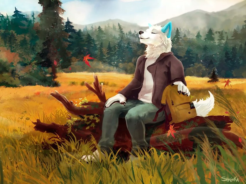 5_fingers anthro black_nose clothed clothing day detailed_background fingers fur male outside sky smile solo white_body white_fur shalinka skoll_(wolf-skoll) canid canine canis mammal wolf 2021 digital_media_(artwork)