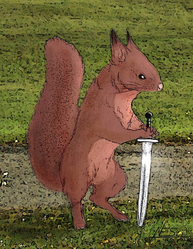 beady_eyes black_eyes black_tipped_ears feral fluffy fluffy_tail fur grass melee_weapon nude plant solo sword tail weapon whiskers holt5 redwall eurasian_red_squirrel mammal rodent sciurid tree_squirrel hi_res