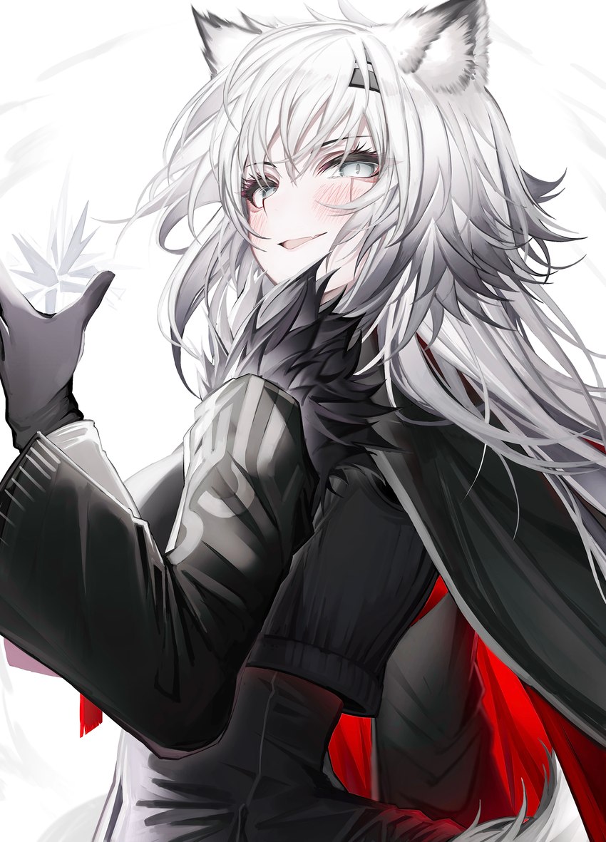 blush cape clothed clothing eyelashes female gloves grey_eyes grey_hair hair handwear jacket looking_at_viewer simple_background solo topwear white_background tabhead arknights hypergryph studio_montagne lappland_(arknights) animal_humanoid canid canid_humanoid canine canine_humanoid humanoid mammal mammal_humanoid absurd_res hi_res