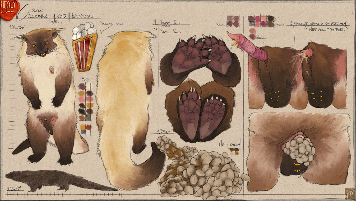 5_fingers 5_toes anal_glands anatomically_correct anatomically_correct_anus anatomically_correct_genitalia anatomically_correct_penis animal_genitalia animal_penis anthro anus areola aroused backsack balls barefoot big_tail biped black_body black_feet black_fur black_hands black_paws black_tail bodily_fluids brooch brown_balls brown_body brown_ears brown_fur brown_sheath brown_thighs butt butt_focus butt_shot claws crotch_shot crowning_feces detailed_anus diagram ear_piercing ear_ring erect_nipples erection facial_piercing feces feet feral finger_claws fingers foot_shot frenum_ladder frenum_piercing front_view fur furry_tail genital_fluids genital_piercing genitals glands handpaw high-angle_view hindpaw jewelry jewelry_only ladder_piercing logo long_tail looking_at_viewer male male_anthro monotone_anus monotone_background monotone_balls monotone_body monotone_feet monotone_genitals monotone_hands monotone_skin multicolored_body multicolored_fur multicolored_penis multicolored_tail multiple_angles nipples nose_piercing nose_ring nubbed_penis nude orange_eyes pawpads paws peeing penile penis penis_piercing perineum piercing pink_anus pink_body pink_nipples pink_pawpads pink_penis pink_skin plantigrade pooping prehensile_tail prince_albert_piercing pupils purple_penis quadruped rear_view ribbed_penis ring_piercing scatplay sheath short short_male short_penis simple_background slit_pupils small_anus small_areola small_balls small_nipples small_penis small_sheath soles solo spiked_penis spikes spikes_(anatomy) standing stretched_anus tail tail_anus tan_body tan_fur tan_tail tan_thighs text textured_background thick_tail thin_penis three-quarter_view toe_claws toes two_tone_inner_ear two_tone_penis two_tone_thighs unusual_feces urine urine_drip urine_stream watersports wetting whisker_spots whiskers white_body white_claws white_fur white_tail yellow_body yellow_fur yellow_tail hdyly cole_(garagesystem) binturong mammal viverrid 2026 absurd_res artist_logo artist_name colored_sketch digital_drawing_(artwork) digital_media_(artwork) english_text hi_res model_sheet multiple_images signature sketch male_(lore)