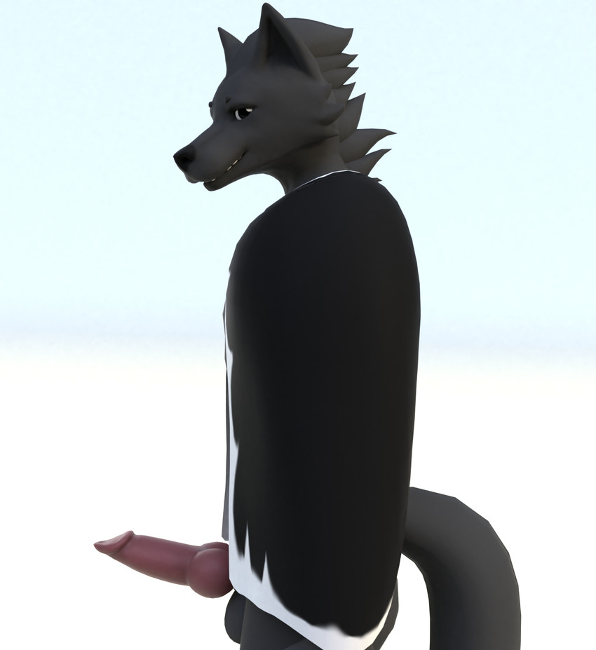 animal_genitalia animal_penis anthro balls black_body black_fur canine_genitalia canine_penis cape clothing erection fur genitals looking_at_viewer male penis simple_background solo standing delbi3d iveraks_(iveraks) canid canine canis mammal wolf 3d_(artwork) digital_media_(artwork) hi_res