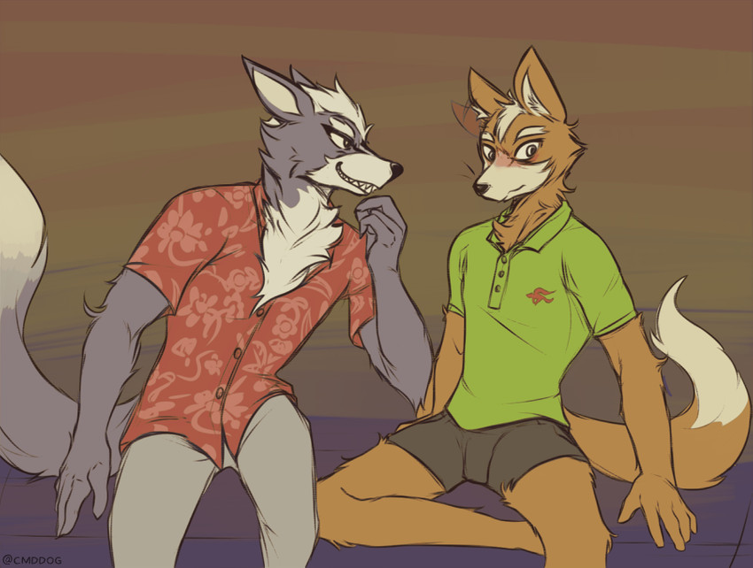 fox mccloud and wolf o'donnell (nintendo and etc) created by lawyerdog