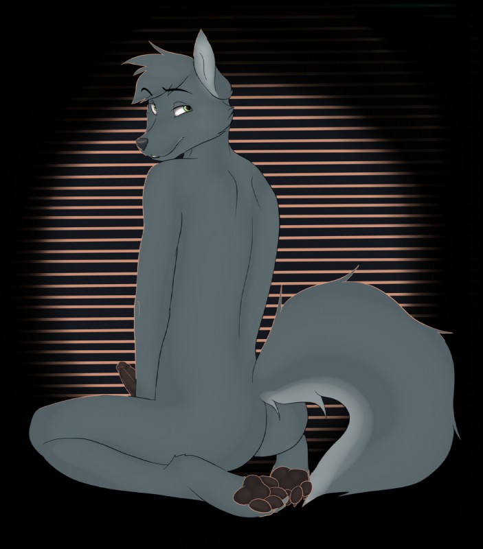 anthro biped black_penis butt erection looking_at_viewer looking_back male nude pawpads paws penis sitting solo cydergerra lordwolfie canid canine canis mammal wolf