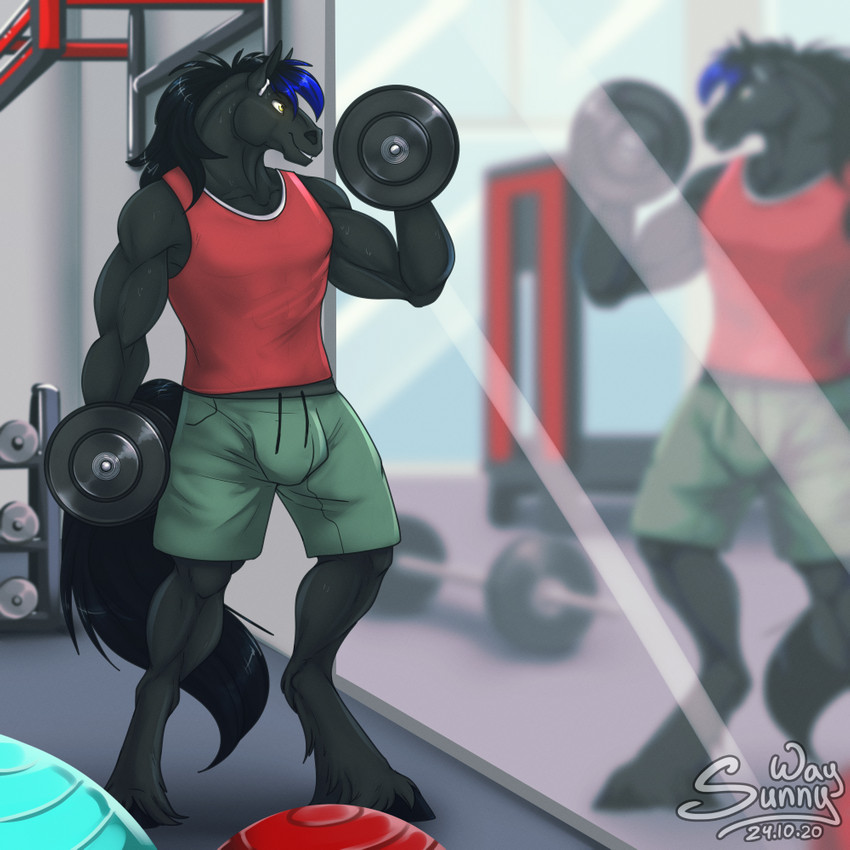 anthro bicep_curl biped black_body black_fur bodily_fluids bottomwear bulge clothed clothing dumbbell enjoying exercise fully_clothed fur gift gym male mirror muscular muscular_anthro muscular_male narcissism reflection shirt shorts smile solo standing sweat tank_top topwear training weightlifting weights wet workout sunny_way airpods equid equine horse mammal 1:1 2020 digital_media_(artwork) full-length_portrait portrait