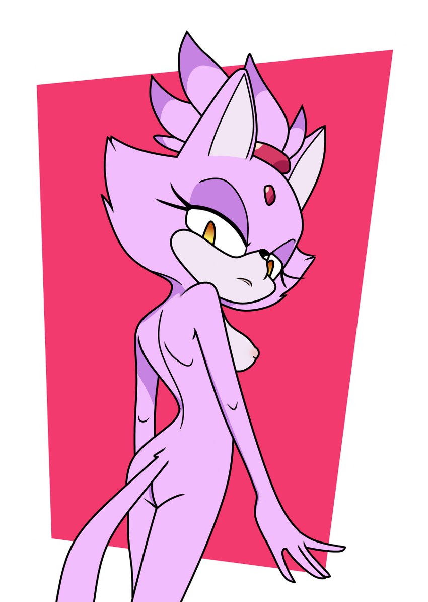 blaze the cat (sonic the hedgehog (series) and etc) created by rogone2 and third-party edit