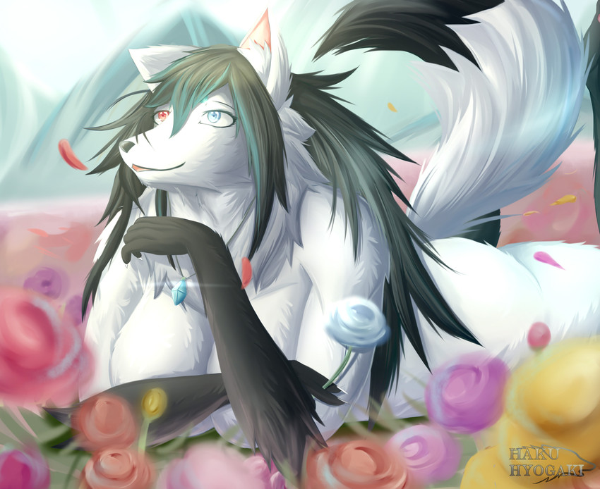 accessory anthro big_breasts black_body black_fur black_hair blue_eyes breasts chest_tuft female female_anthro flower fur hair heterochromia jewelry kemono looking_up lying necklace nude open_mouth petals plant rose_petals smile solo tuft white_body white_fur hakuhyogaki yuki_hyogaki arctic_wolf canid canine canis mammal wolf absurd_res hi_res