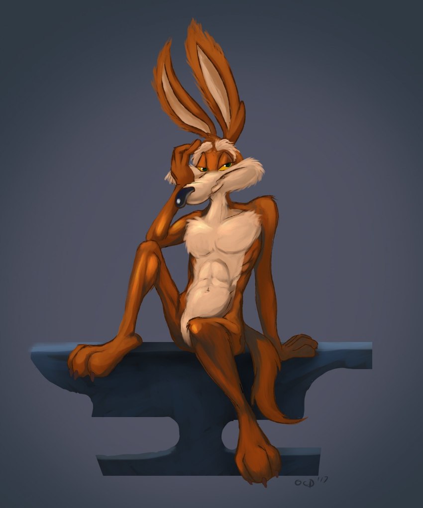 wile e. coyote (warner brothers and etc) created by stevethedragon