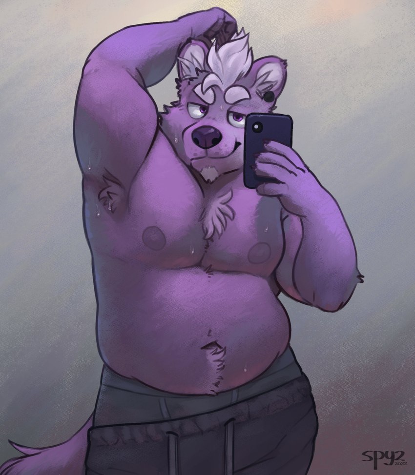 5_fingers anthro armpit_hair belly bodily_fluids body_hair bottomwear boxer_briefs chest_tuft clothing fingers fur grey_clothing grey_underwear hair half-closed_eyes looking_at_viewer loose_pants love_handles male moobs musclegut muscular narrowed_eyes navel nipples pants purple_body purple_eyes purple_fur raised_arm sagging_pants selfie shirtless simple_background smile smirk solo sweat sweatpants sweaty_armpit sweaty_belly sweaty_chest sweaty_face tuft underwear white_hair spyz_(artist) kodi_(spyz) canid canine mammal 2022 hi_res portrait signature three-quarter_portrait