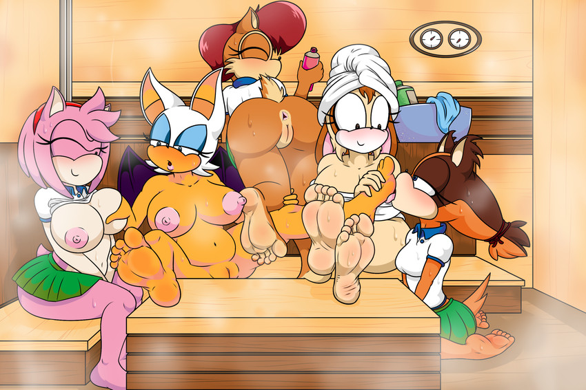 amy rose, rouge the bat, sally acorn, sticks the jungle badger, and vanilla the rabbit (sonic the hedgehog (archie) and etc) created by tinydevilhorns