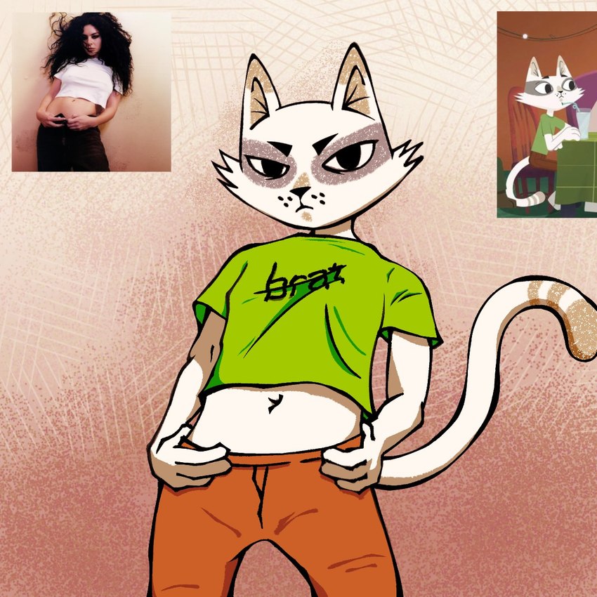 anthro biped black_nose bottomwear clothing male navel pants real shirt solo topwear teaacup beastly_crimes beastly_crimes_(2024) badgercat domestic_cat felid feline felis mammal 1:1 2024 hi_res