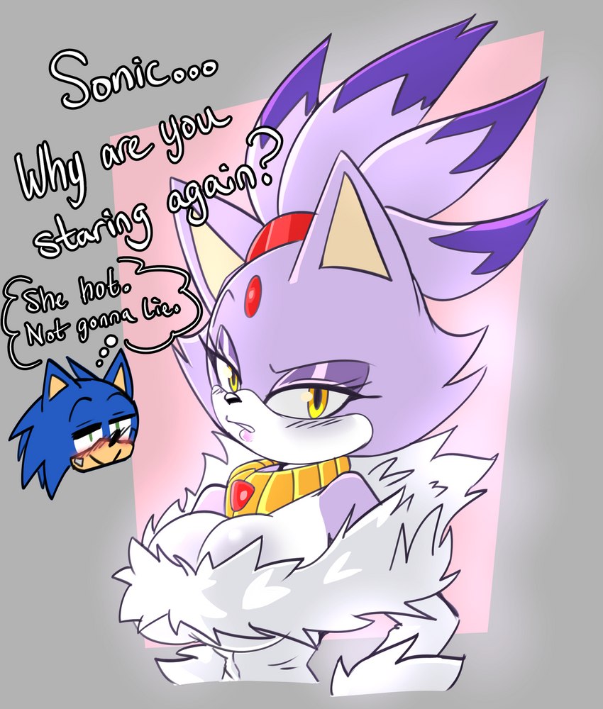 blaze the cat and sonic the hedgehog (sonic the hedgehog (series) and etc) created by solratic