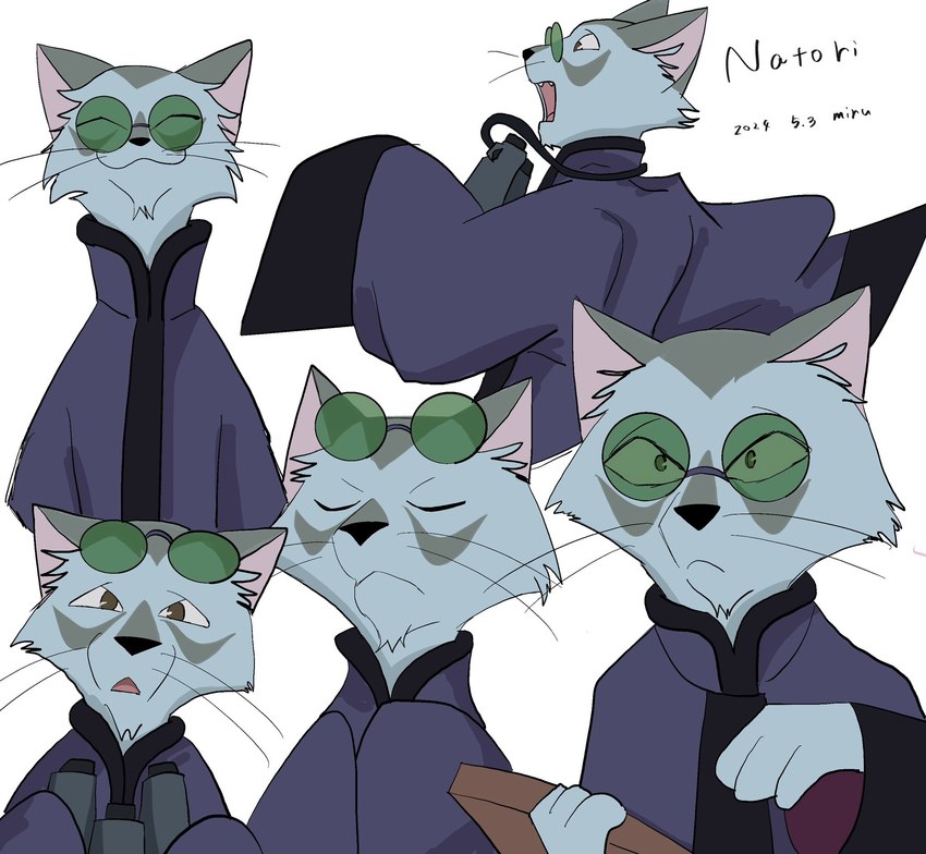 anthro asian_clothing chinese_clothing clothing east_asian_clothing elderly elderly_male eyes_closed eyewear hanfu happy male running smile solo sunglasses tablet miru_(artist) ghibli the_cat_returns natori_(the_cat_returns) domestic_cat felid feline felis mammal hi_res