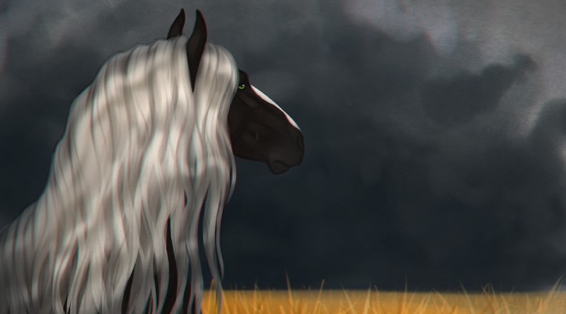 ambiguous_gender black_body black_fur cloud detailed_background feral fur mane multicolored_body multicolored_fur outside quadruped side_view sky solo two_tone_body two_tone_fur white_body white_fur white_mane anuta_belko aidan_(apollo13) equid equine horse mammal 2018 bust_portrait digital_media_(artwork) portrait