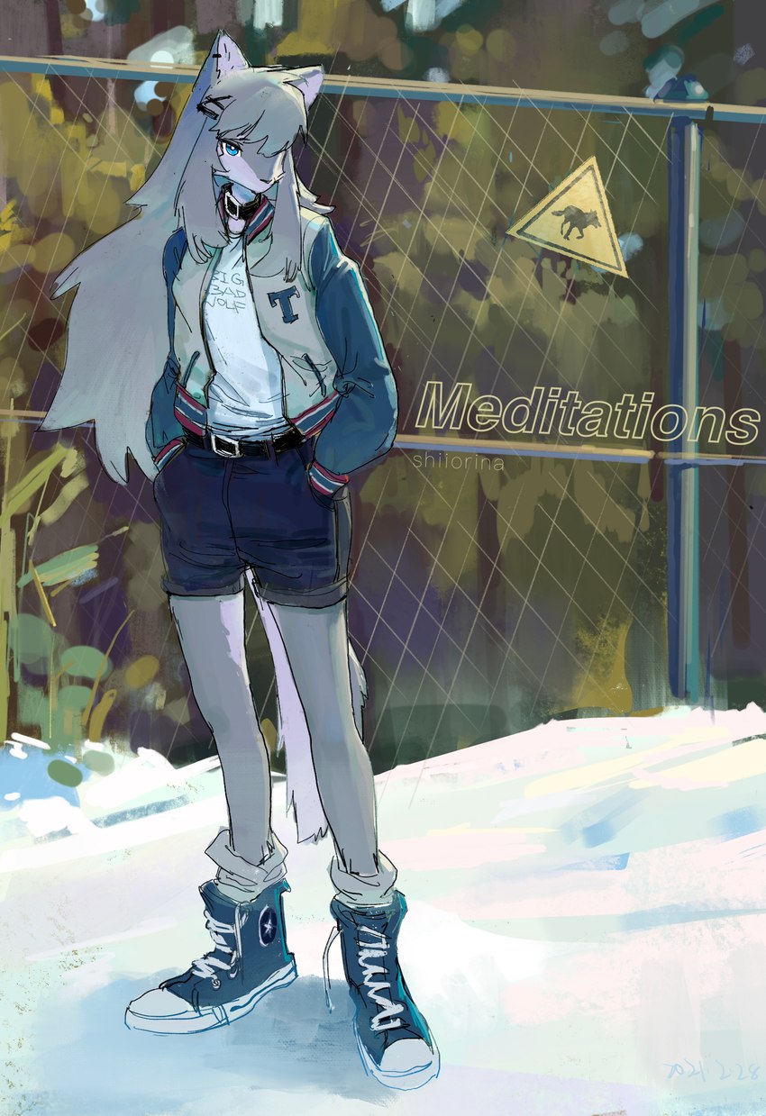 anthro belt black_bottomwear black_clothing black_collar black_shorts blue_clothing blue_eyes blue_footwear blue_shoes bottomwear breasts building chain-link_fence clothed clothing collar detailed_background female female_anthro fence footwear fully_clothed fur grey_body grey_fur grey_hair hair hair_over_eye jacket kemono long_hair looking_at_viewer one_eye_obstructed plant shirt shoes shorts sign small_breasts snow socks solo standing thin_calves thin_legs thin_thighs topwear tree white_body white_clothing white_fur white_shirt white_topwear shiiorina sally_(shiiorina) canid canine canis mammal wolf 2021 hi_res traditional_media_(artwork)