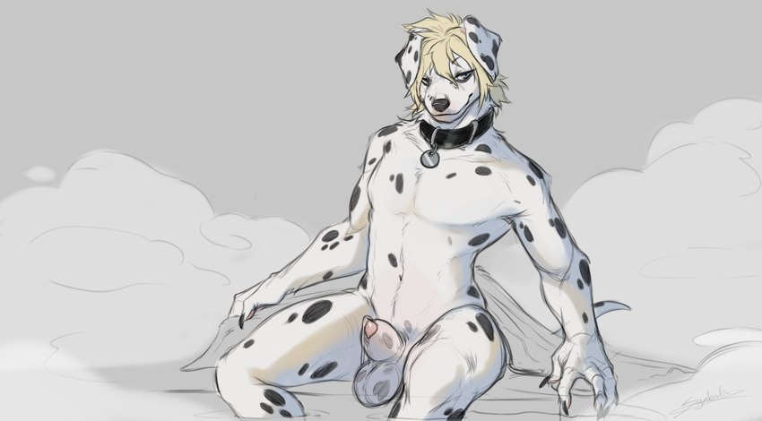 animal_genitalia anthro balls blonde_hair bodily_fluids collar floppy_ears front_view fur genital_fluids genitals hair male markings penis penis_tip precum sauna sheath sitting solo spots spotted_body spotted_fur steam white_body white_fur symbolicproto canid canine canis dalmatian domestic_dog mammal absurd_res hi_res