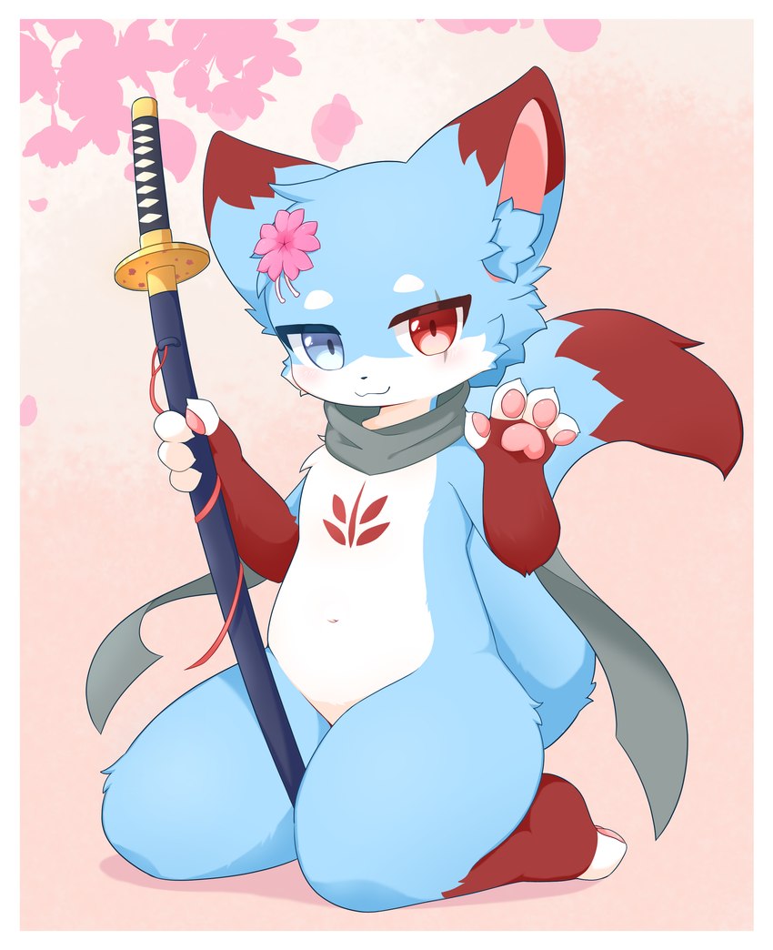 4_toes :3 anthro belly big_eyes black_body black_fur blue_body blue_eyes blue_fur blush blush_lines border cherry_blossom chest_markings claws closed_smile dipstick_ears dipstick_tail ear_markings eye_scar eyebrows facial_scar featureless_crotch feet femboy finger_claws fingerless_(marking) flower front_view fur gradient_background grey_scarf happy holding_katana holding_melee_weapon holding_object holding_sword holding_weapon inner_ear_fluff katana kemono kneeling looking_at_viewer male markings melee_weapon mostly_nude mouth_closed multicolored_body multicolored_ears multicolored_fur navel pawpads paws pink_background pink_pawpads plant prunus_(flower) pupils raised_tail red_body red_eyes red_fur scar scarf scarf_only seiza shadow sheathed_sword simple_background sitting slightly_chubby smile solo sword tail tail_markings thick_thighs three-quarter_view toes tuft weapon white_body white_border white_fur wide_hips shirom canid canine fox mammal 2024 absurd_res cel_shading digital_media_(artwork) full-length_portrait hi_res portrait shaded