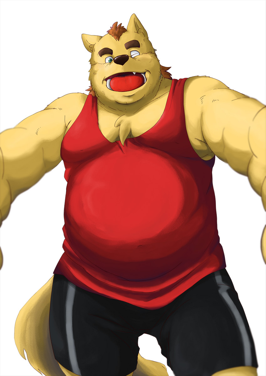 anthro bottomwear clothing kemono male one_eye_closed overweight overweight_anthro overweight_male shirt shorts simple_background solo topwear white_background wink kuma_(pixiv_881259) kumadasi canid canine canis domestic_dog mammal 2012 hi_res