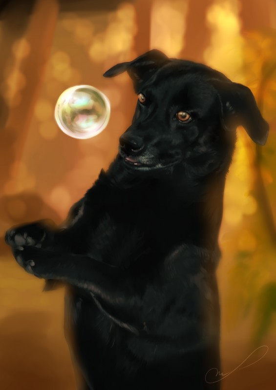 ambiguous_gender black_nose bubble claws feral fur outside photorealism realistic smile solo speedpaint martith canid canine canis domestic_dog mammal 2018 detailed digital_media_(artwork) digital_painting_(artwork) hi_res painting_(artwork) signature