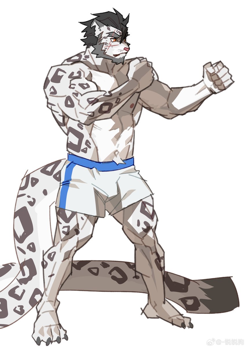 abs anthro beard biceps black_hair bottomwear claws clothed clothing facial_hair fighting_pose fur hair leopard_spots long_tail male markings muscular muscular_anthro muscular_male nipples notched_ear pecs pose shorts shorts_only simple_background solo spots spotted_body spotted_fur standing tail toe_claws topless weibo_logo white_background white_body white_bottomwear white_clothing white_fur white_shorts li_geduld alvintanubis weibo yuntian felid mammal pantherine snow_leopard 2023 absurd_res hi_res