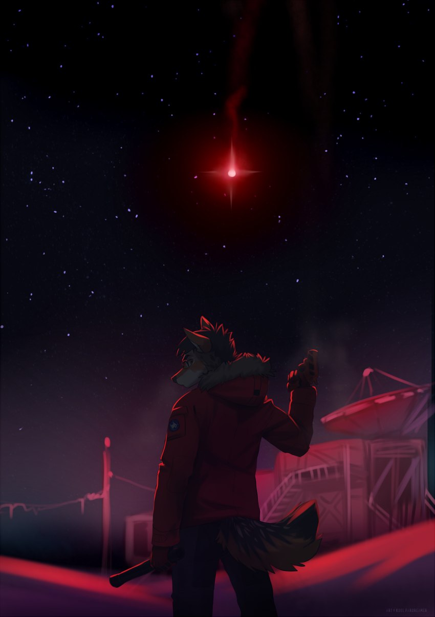 5_fingers anthro detailed_background fingers fur hair male night outside sky solo standing star starry_sky koul the_thing jack-jackal_(character) black-backed_jackal canid canine canis jackal mammal 2021 digital_media_(artwork) hi_res