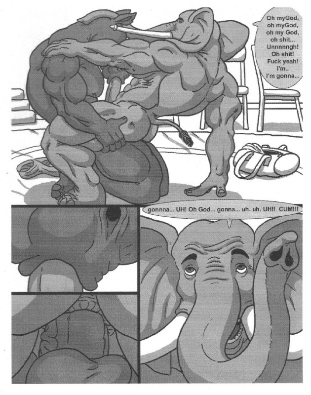 Gay Furry Elephant Porn - Furry elephant gay