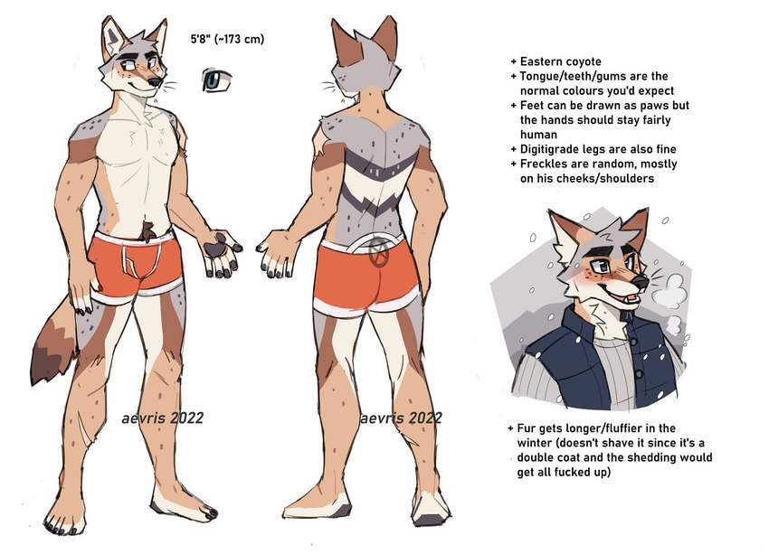 5_fingers anthro biped clothed clothing eyebrows fingers male open_mouth open_smile pawpads profanity smile solo tail text topless topless_anthro topless_male underwear underwear_only aevris xantho_(aevris) canid canine canis coyote mammal english_text hi_res model_sheet