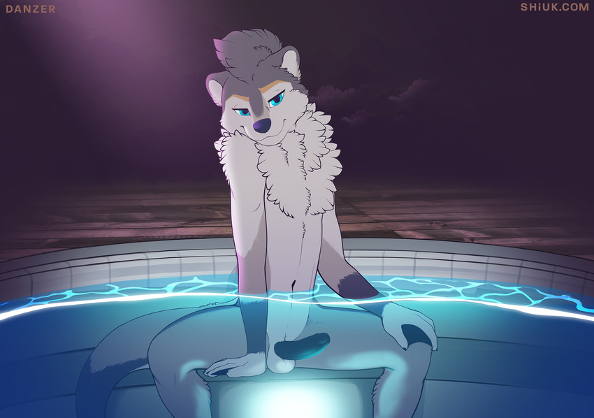 anthro arms_in_water balls bent_arm bent_legs caustics erection extended_arm fully_submerged_legs fully_submerged_tail fur fur_tuft genitals hand_between_legs hand_on_knee hand_on_leg hand_on_own_knee hand_on_own_leg holding_knee holding_leg humanoid_genitalia humanoid_penis legs_over_edge looking_at_viewer male manspreading membrane_(anatomy) nude over_edge partially_submerged penis sitting sitting_in_water solo submerged_legs submerged_tail text translucent_water tuft water waterline_view webbed_hands shiuk danzer mammal mustelid otter 2020 hi_res url