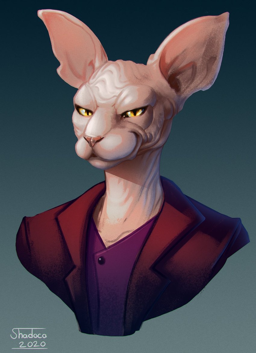 ambiguous_gender hairless simple_background solo yellow_eyes shadoca dungeons_and_dragons hasbro wizards_of_the_coast domestic_cat felid feline felis hairless_cat mammal sphynx_(cat) tabaxi 2020 hi_res