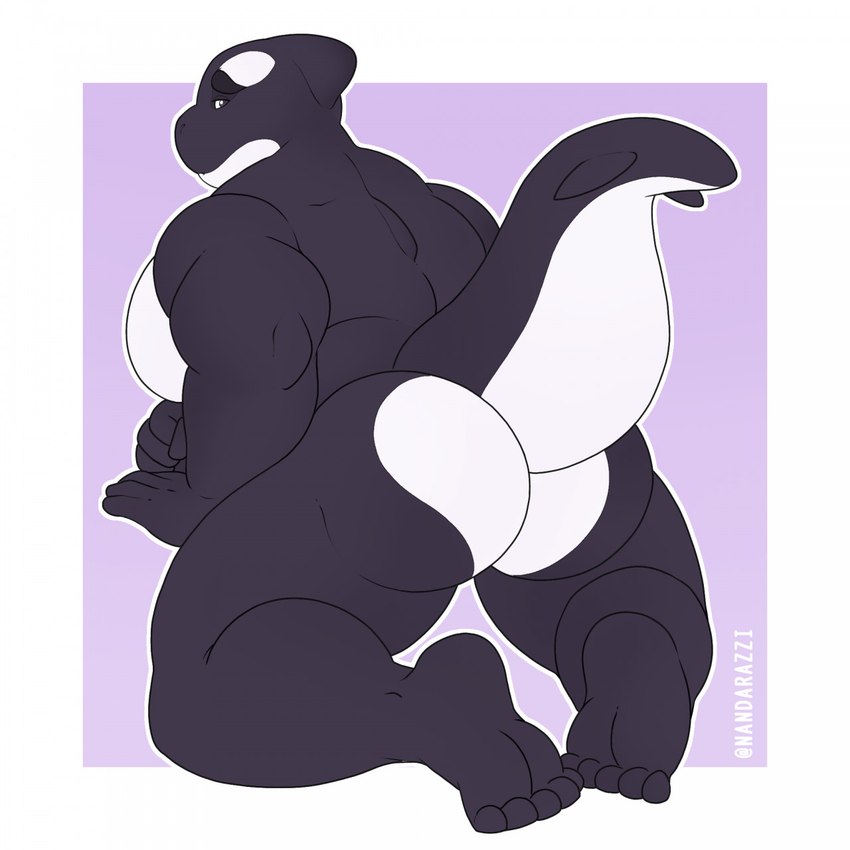 anthro big_pecs black_eyes butt butt_focus dark_body feet fin head_fin looking_at_viewer looking_back looking_back_at_viewer male multicolored_body muscular muscular_anthro muscular_male nude pecs solo tail thick_tail two_tone_body nandarazzi majed_(bigboyorca) cetacean dolphin mammal marine oceanic_dolphin orca toothed_whale 1:1 hi_res