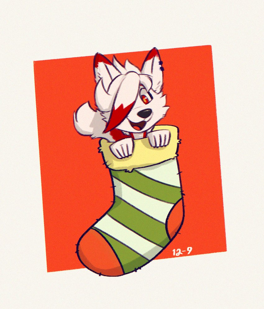 anthro christmas_stocking clothing ear_piercing footwear fur hair hair_over_eye holidays looking_at_viewer male one_eye_obstructed piercing red_body red_eyes red_fur smile socks solo white_body white_fur 12-9 christmas roxas_(projektrox) canid canine canis mammal wolf chromatic_aberration hi_res