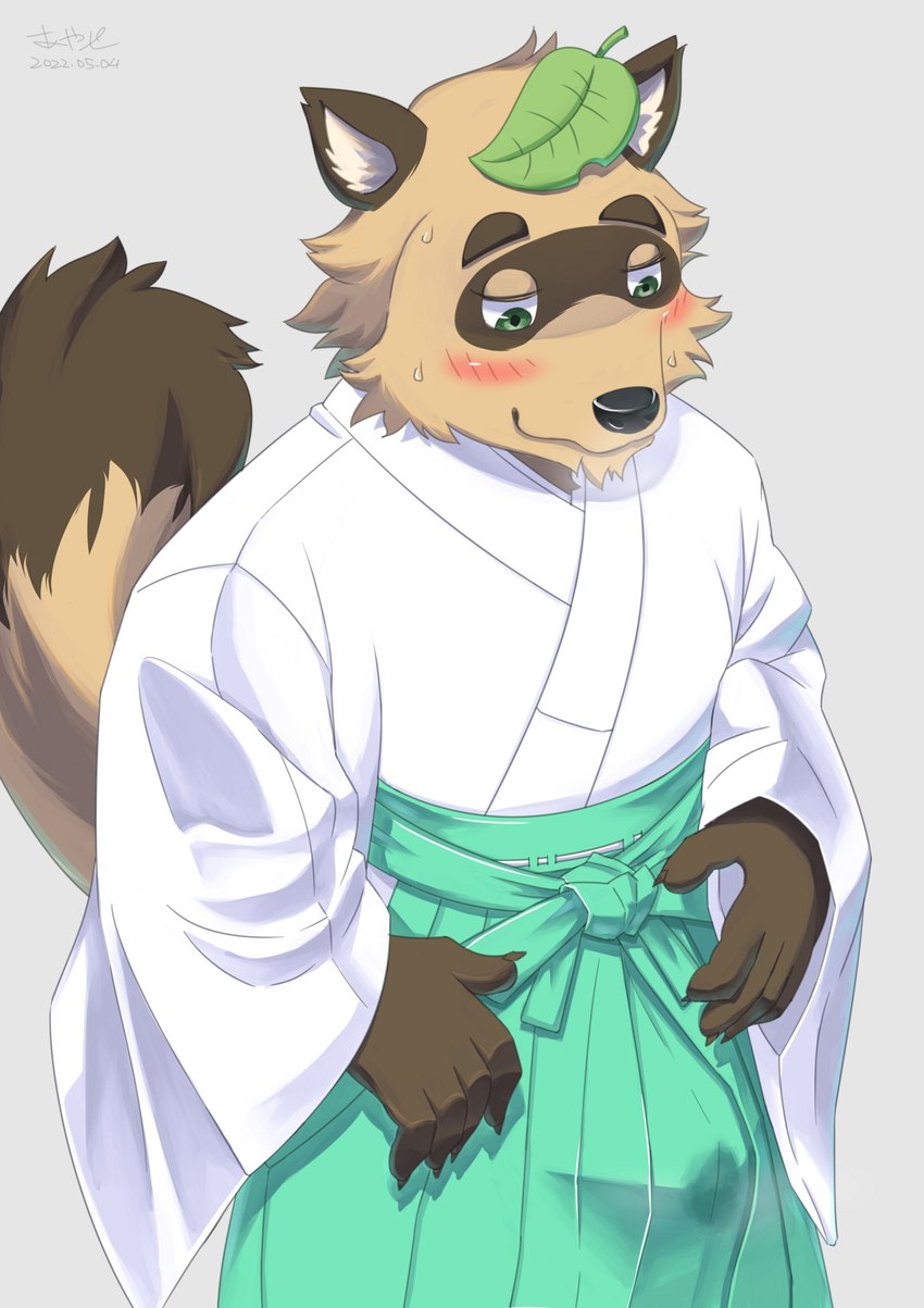 anthro asian_clothing blush bodily_fluids bottomwear clothed clothing east_asian_clothing erection erection_under_clothing genital_fluids hakama japanese_clothing kemono kimono male precum solo tenting wet wet_clothing ayase4205913 canid canine mammal raccoon_dog tanuki hi_res