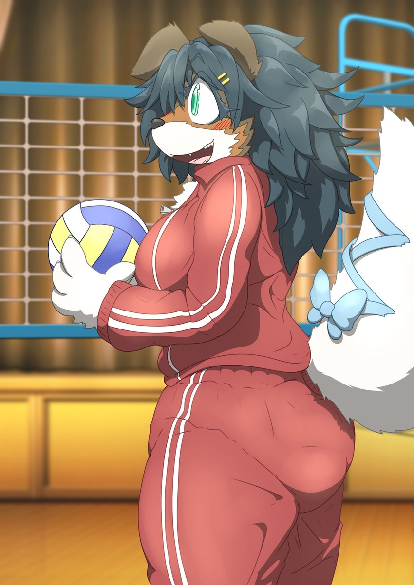 accessory anthro ball clothed clothing diaper diaper_under_clothing female green_eyes gymnasium hair hair_accessory hairpin navy_hair net open_mouth solo sport volleyball volleyball_(ball) volleyball_court volleyball_net wearing_diaper mttbsmn hinaka_(mttbsmn) canid canine canis collie domestic_dog herding_dog mammal pastoral_dog rough_collie sheepdog absurd_res hi_res