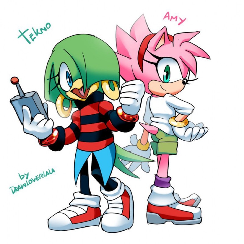 amy rose, amy rose, classic amy rose, and tekno the canary (sonic the hedgehog (comics) and etc) created by drawloverlala