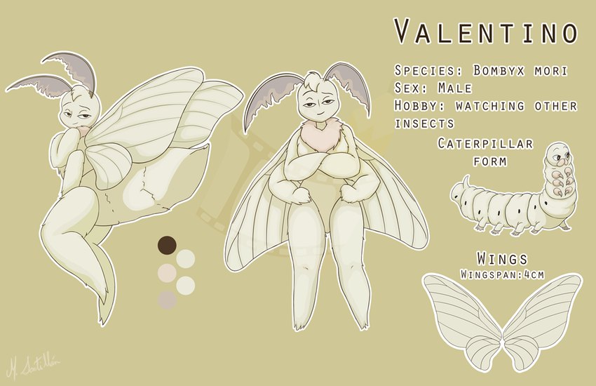 antennae_(anatomy) anthro insect_wings larva lepidopteran_wings male scientific_name solo text wings flashquatsch valentino_(flashquatsch) arthropod caterpillar domestic_silk_moth insect lepidopteran moth silkworm english_text model_sheet