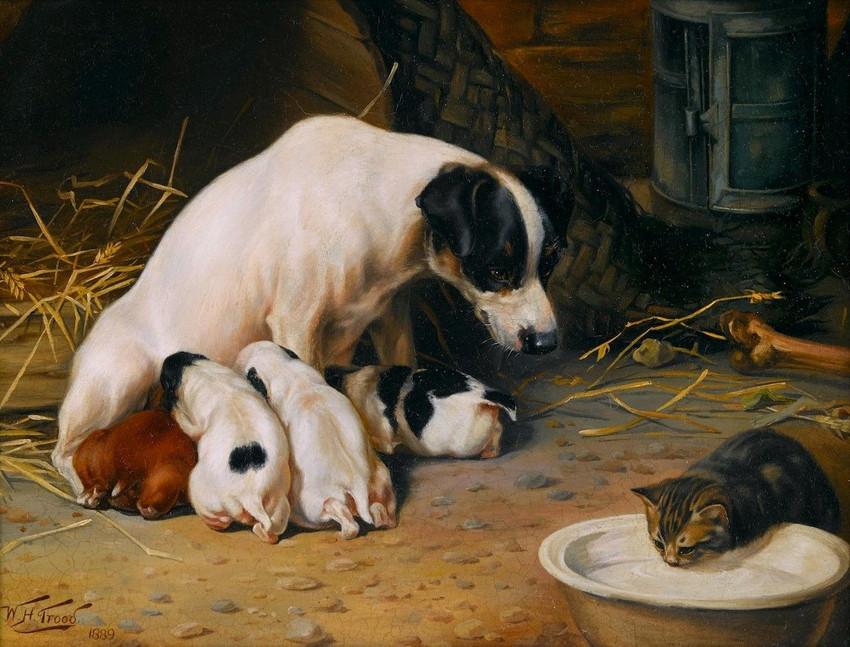 ambiguous_gender baby bone bowl breastfeeding container feral group hay milk realistic young young_feral william_henry_hamilton_trood public_domain canid canine canis domestic_cat domestic_dog felid feline felis mammal 1889 19th_century ancient_art formal_art painting_(artwork) signature traditional_media_(artwork) mother_(lore) mother_and_child_(lore) parent_(lore) parent_and_child_(lore)